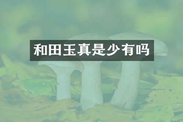 和田玉真是少有吗