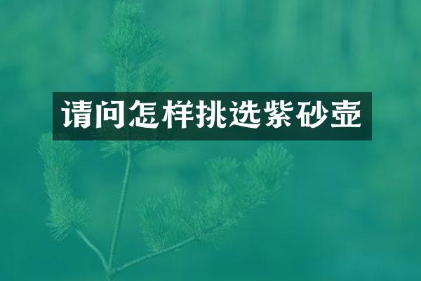 请问怎样挑选紫砂壶