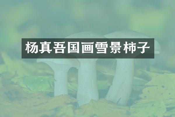 杨真吾国画雪景柿子