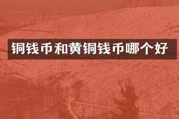 铜钱币和黄铜钱币哪个好