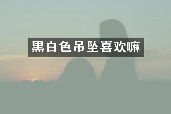 黑白色吊坠喜欢嘛