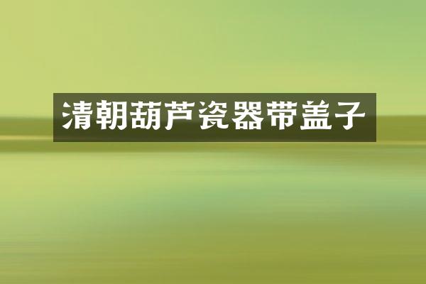 清朝葫芦瓷器带盖子