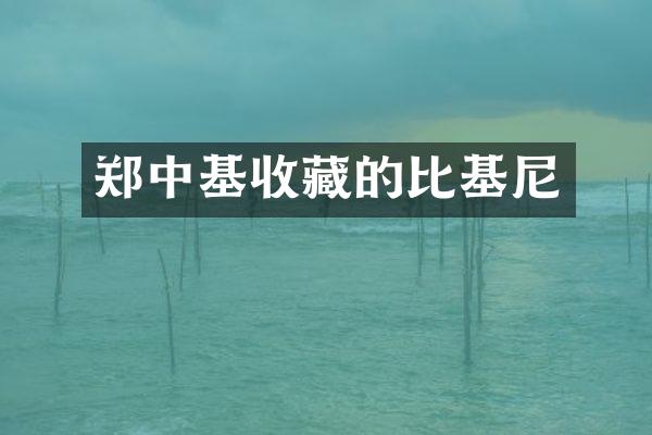 郑中基收藏的比基尼