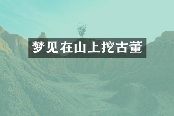 梦见在山上挖古董