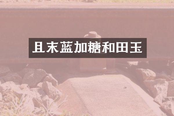 且末蓝加糖和田玉