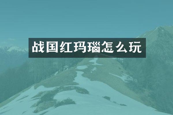 战国红玛瑙怎么玩