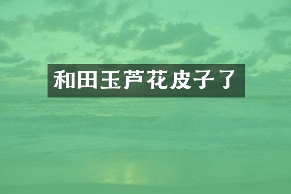 和田玉芦花皮子了