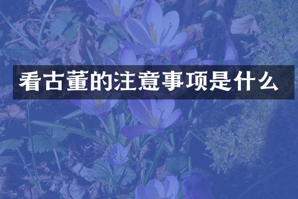 看古董的注意事项是什么