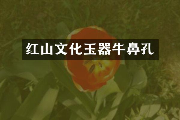 红山文化玉器牛鼻孔