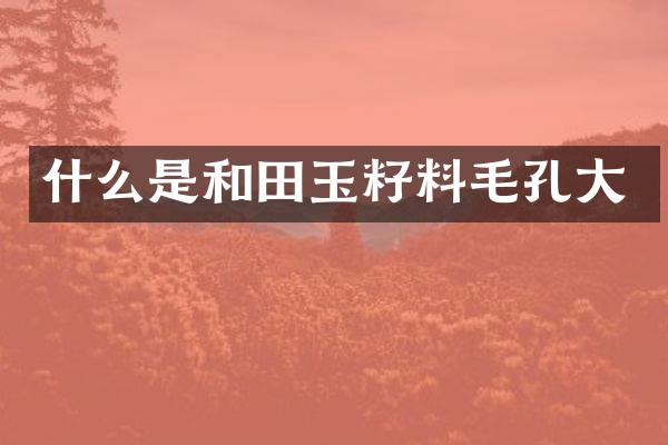 什么是和田玉籽料毛孔大