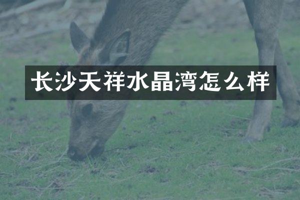 长沙天祥水晶湾怎么样