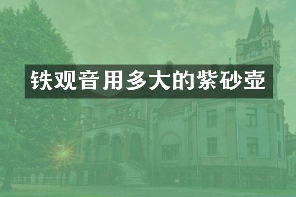 铁观音用多大的紫砂壶