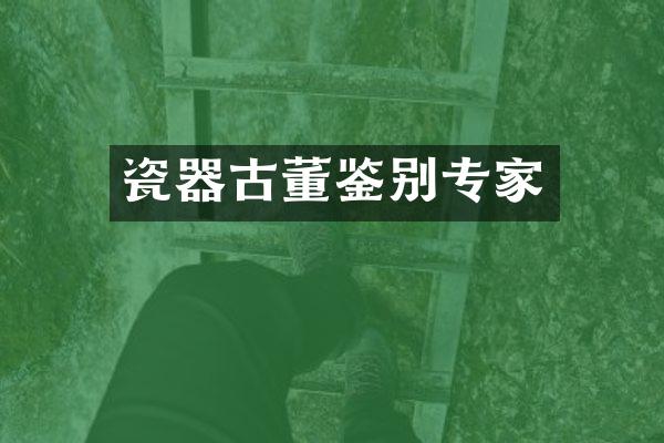 瓷器古董鉴别专家