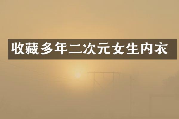 收藏多年二次元女生内衣