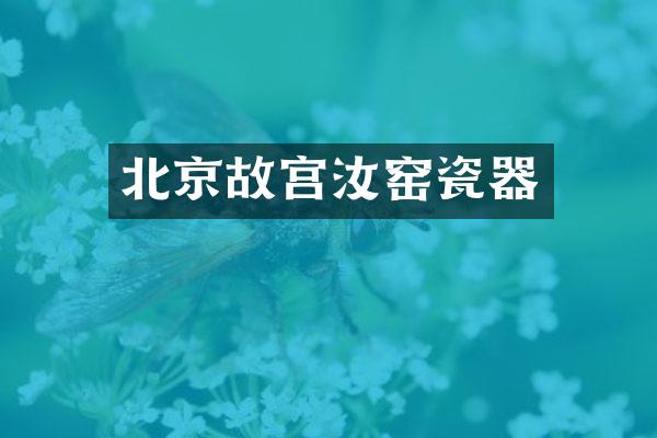 北京故宫汝窑瓷器