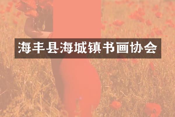 海丰县海城镇书画协会