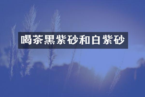 喝茶黑紫砂和白紫砂