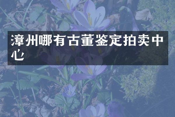 漳州哪有古董鉴定拍卖中心