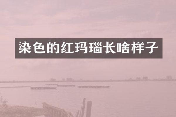 染色的红玛瑙长啥样子