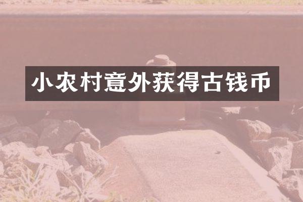 小农村意外获得古钱币