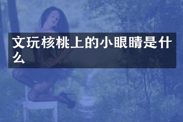 文玩核桃上的小眼睛是什么