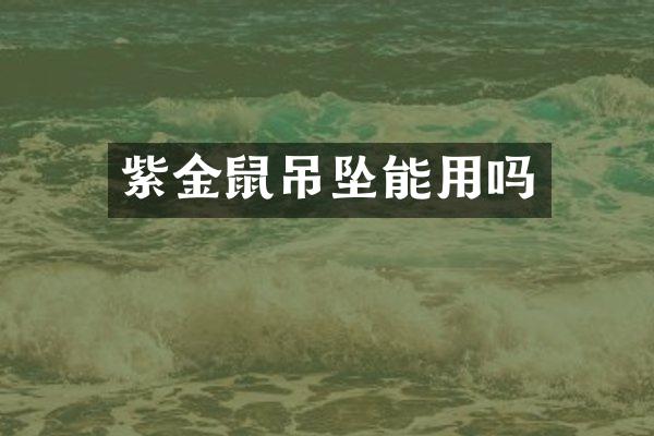 紫金鼠吊坠能用吗