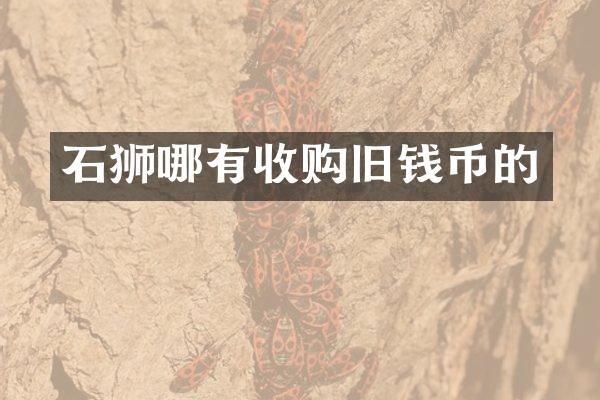 石狮哪有收购旧钱币的