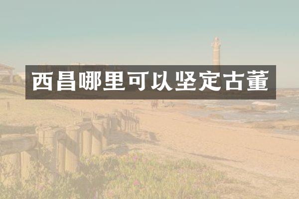 西昌哪里可以坚定古董