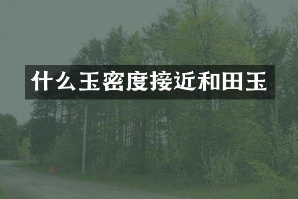 什么玉密度接近和田玉