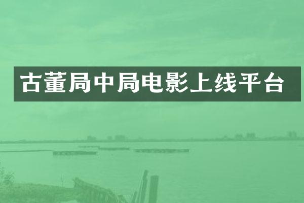 古董局中局电影上线平台