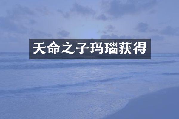 天命之子玛瑙获得