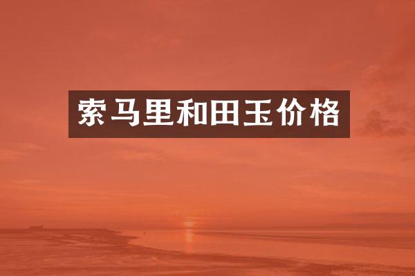 索马里和田玉价格
