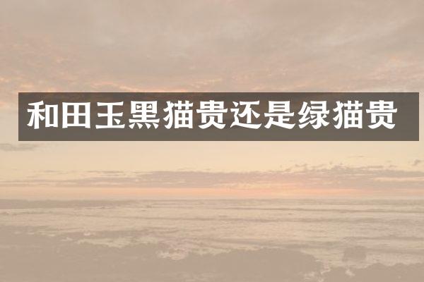 和田玉黑猫贵还是绿猫贵