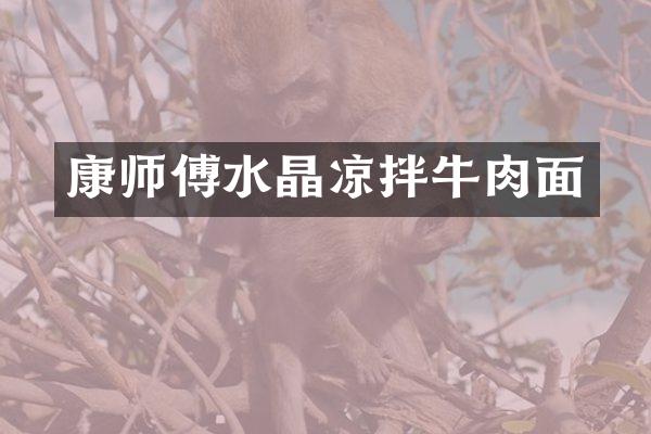 康师傅水晶凉拌牛肉面