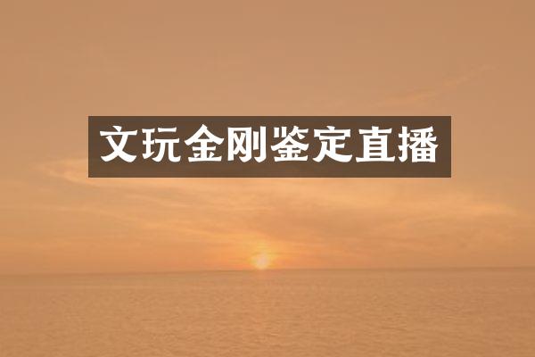 文玩金刚鉴定直播