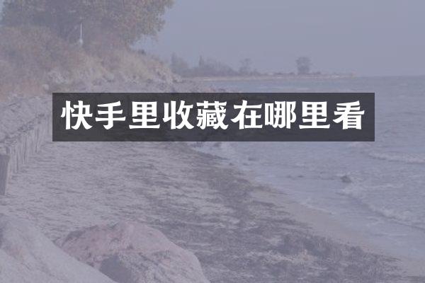 快手里收藏在哪里看