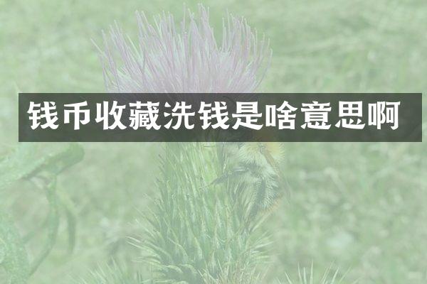 钱币收藏洗钱是啥意思啊
