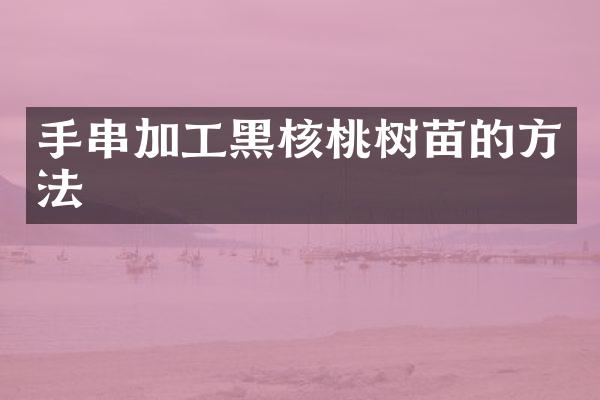 手串加工黑核桃树苗的方法