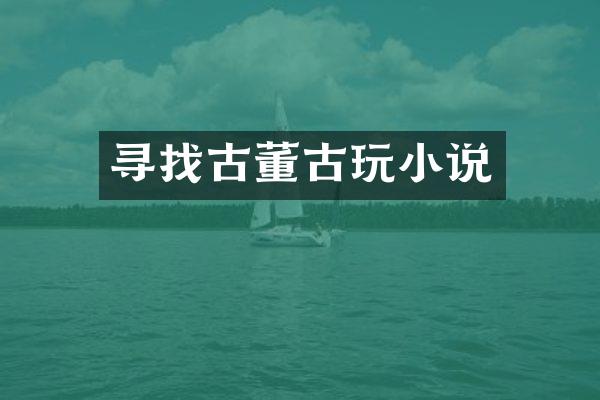 寻找古董古玩小说