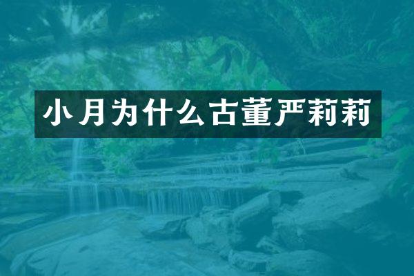 小月为什么古董严莉莉