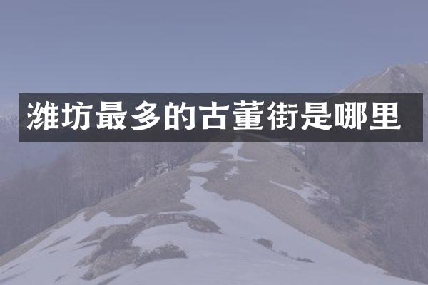 潍坊最多的古董街是哪里
