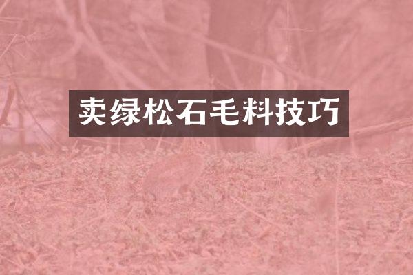 卖绿松石毛料技巧