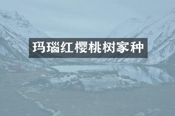 玛瑙红樱桃树家种