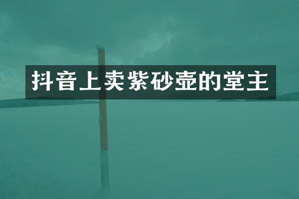 抖音上卖紫砂壶的堂主