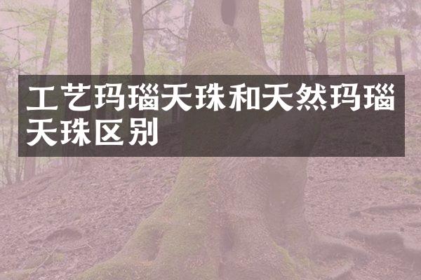 工艺玛瑙天珠和天然玛瑙天珠区别