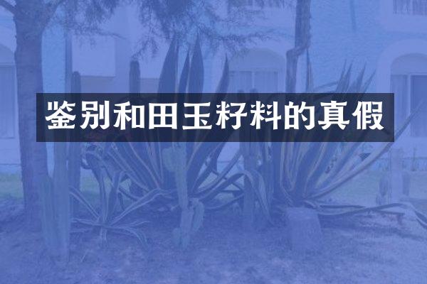 鉴别和田玉籽料的真假