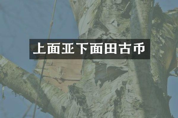 上面亚下面田古币