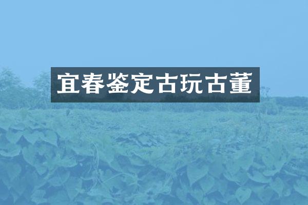 宜春鉴定古玩古董