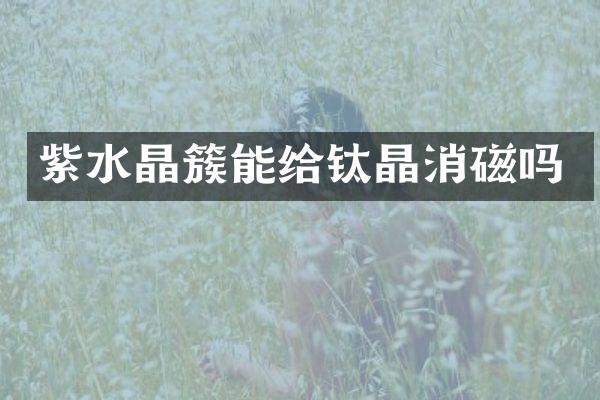 紫水晶簇能给钛晶消磁吗
