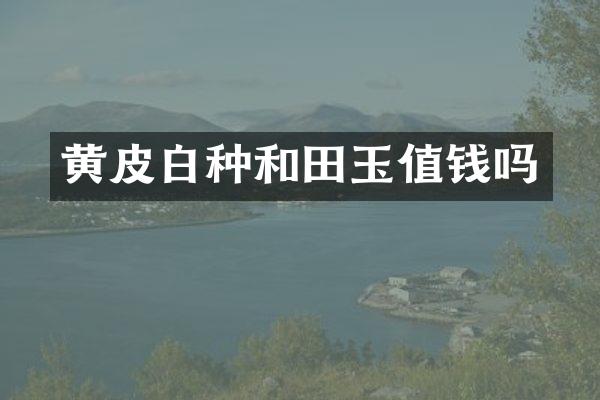 黄皮白种和田玉值钱吗